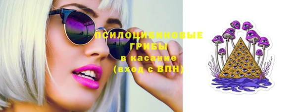 стаф Алексеевка