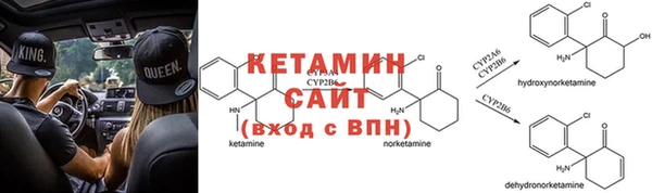 кокс Алексин
