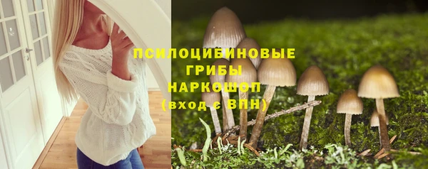 стаф Алексеевка