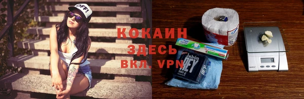 кокс Алексин
