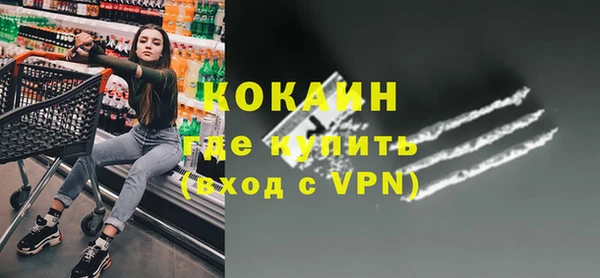 кокс Алексин